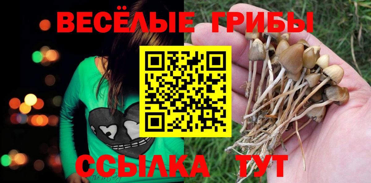 Галлюциногенные грибы ЛСД  Вход с VPN  Знаменск 